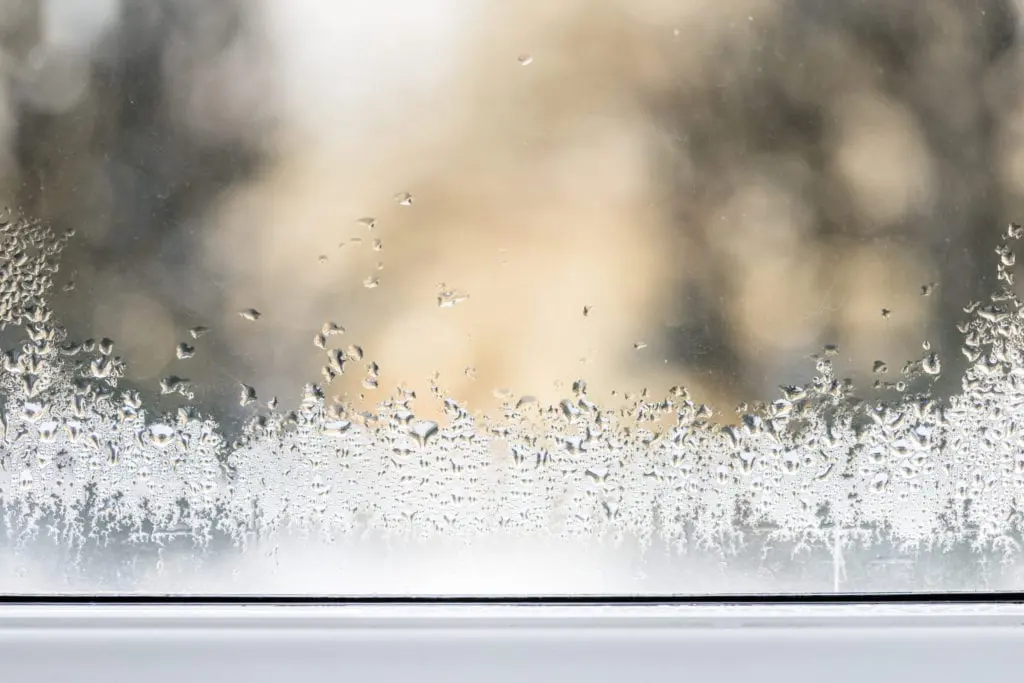 Bring the light back in with Velux window repairs