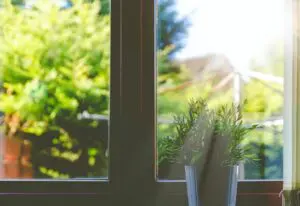Cloudy2Clear looking through window to garden