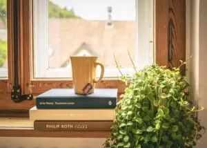 cup on books in window