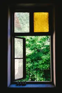 old window with yellow pane and trees in background
