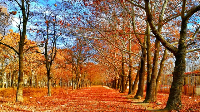 autumn window maintenance tips