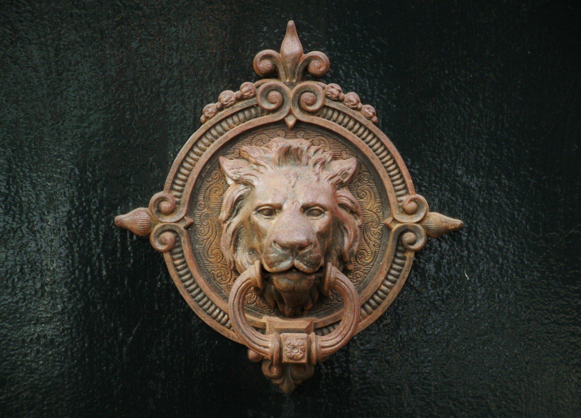 door-handle