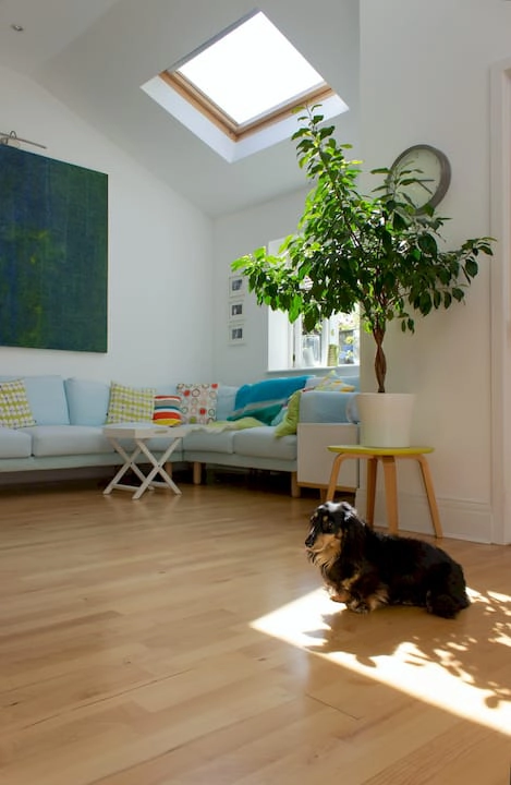 c2c room with velux window