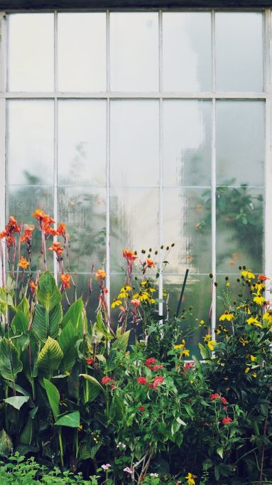 How to Prevent Condensation in a Conservatory