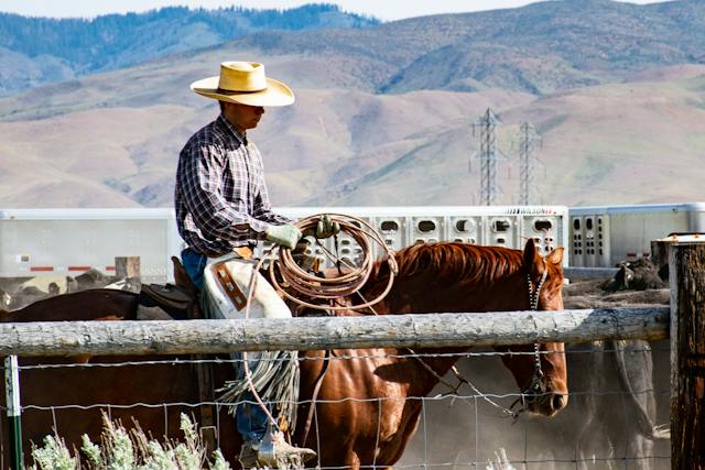 cowboy double glazing firms